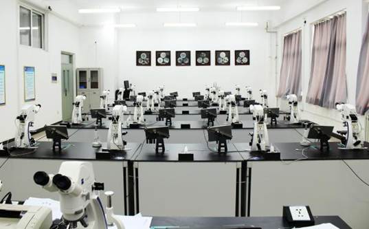金相教学平台1